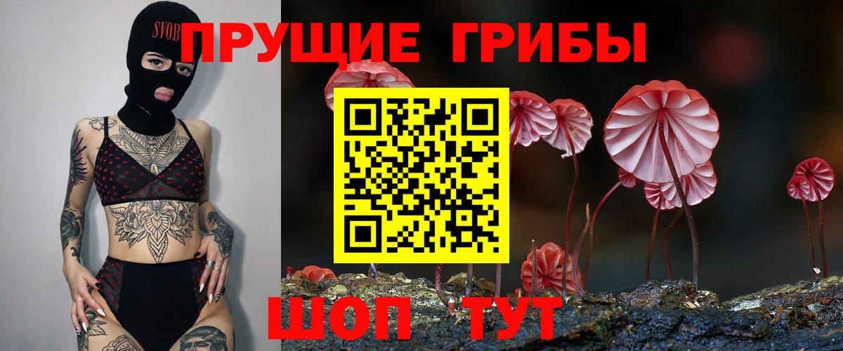 Псилоцибиновые грибы GOLDEN TEACHER  Вход с VPN  Прокопьевск 