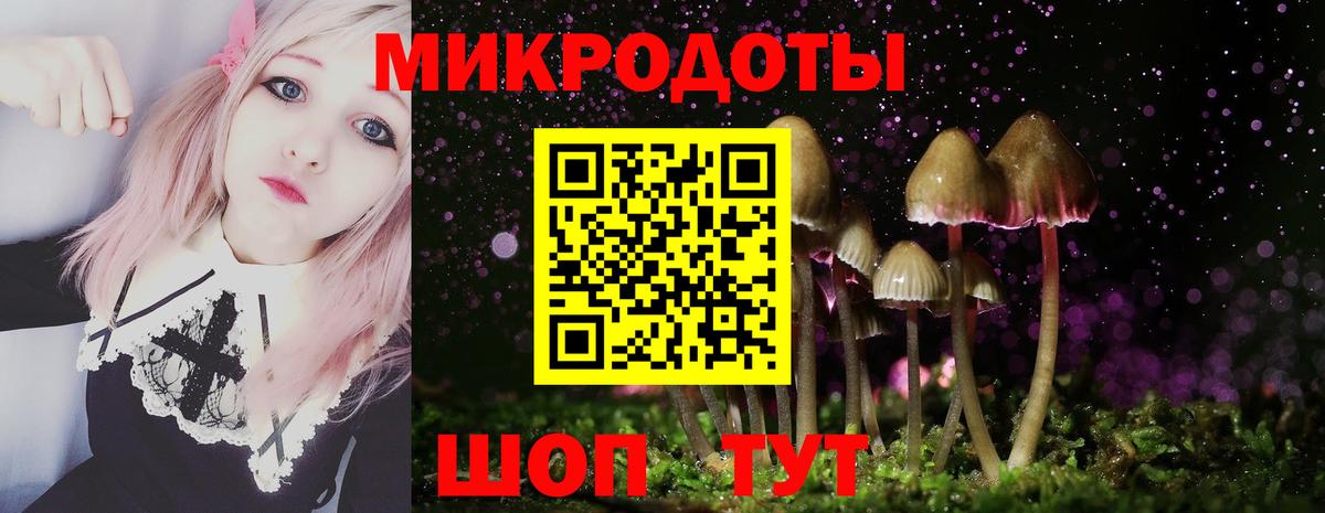 Галлюциногенные грибы прущие грибы Прокопьевск