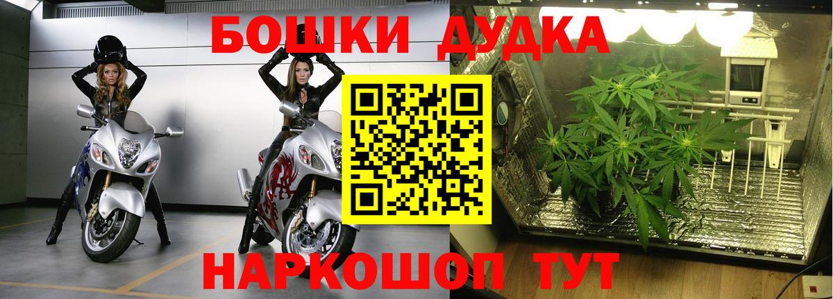 Шишки марихуана планчик  Вход с VPN  Бошки Шишки сатива  Бошки марихуана марихуана  Прокопьевск 